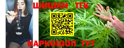 2c-b Кингисепп