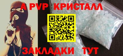 2c-b Кингисепп