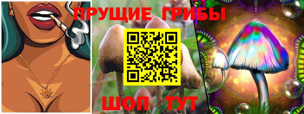 Галлюциногенные грибы ЛСД Балтийск