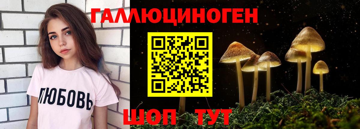 Псилоцибиновые грибы MAGIC MUSHROOMS  Вход с VPN  Балтийск 